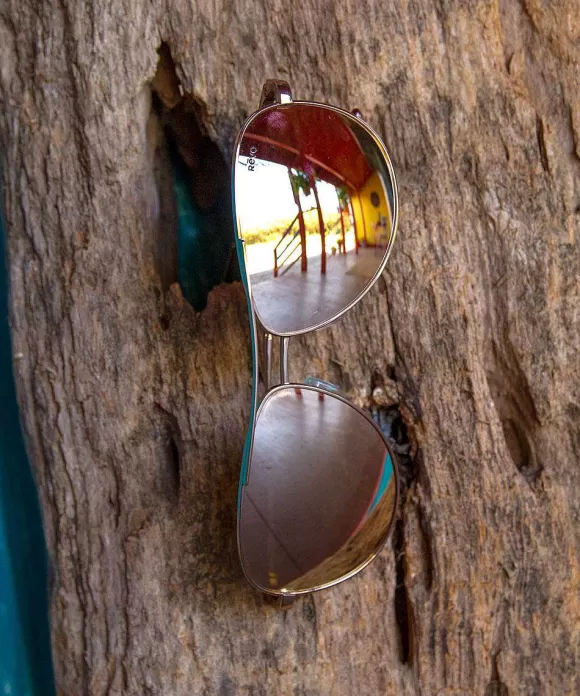 Sunglasses>Crazy Shirts Revo Relay Rose Gold/Champagne - Sunglasses